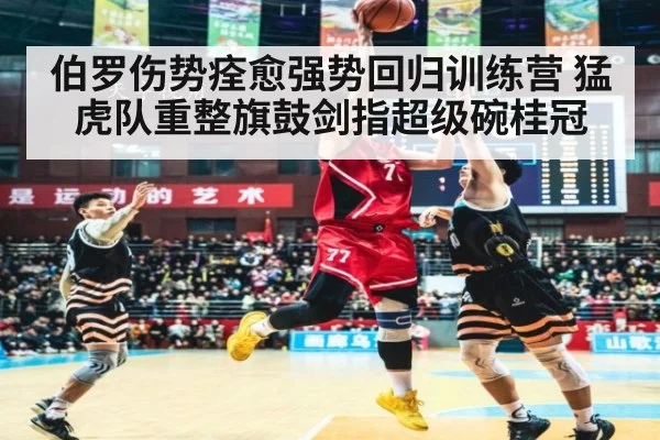 伯罗伤势痊愈强势回归训练营 猛虎队重整旗鼓剑指超级碗桂冠